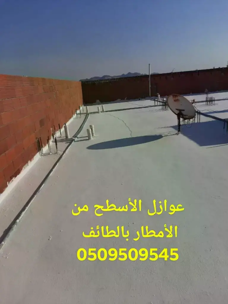 كشف تسريب الأسطح بمكة